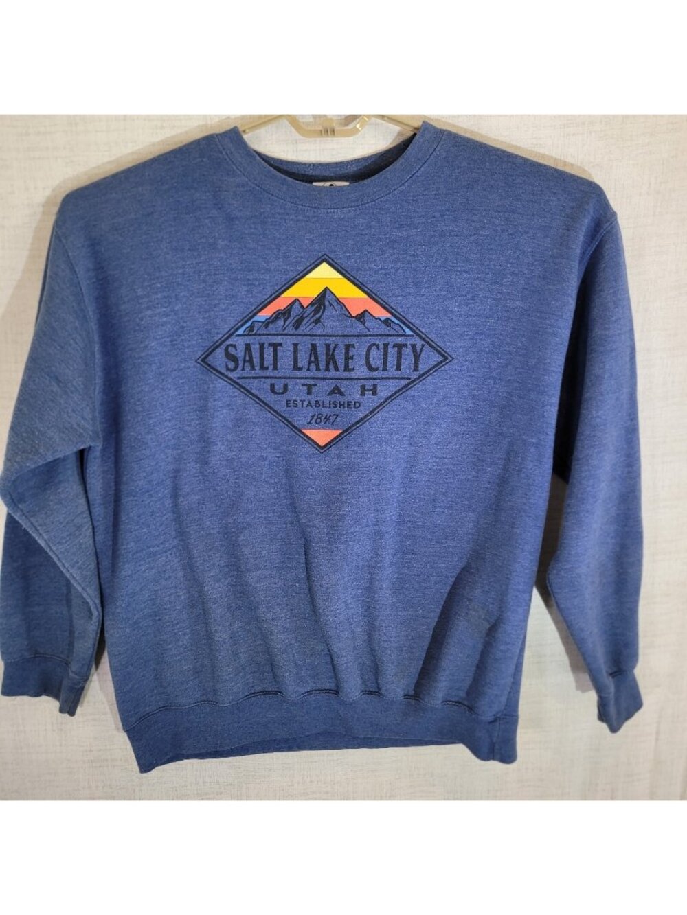 Salt Lake City Utah Sweater Mens XL Blue Prairie Mountain Pullover Streetwear